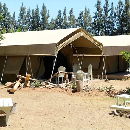 Hotel African 2*